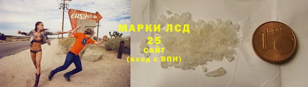 spice Богородск